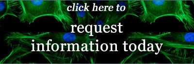 Request information about Lehigh University Biological Sciences