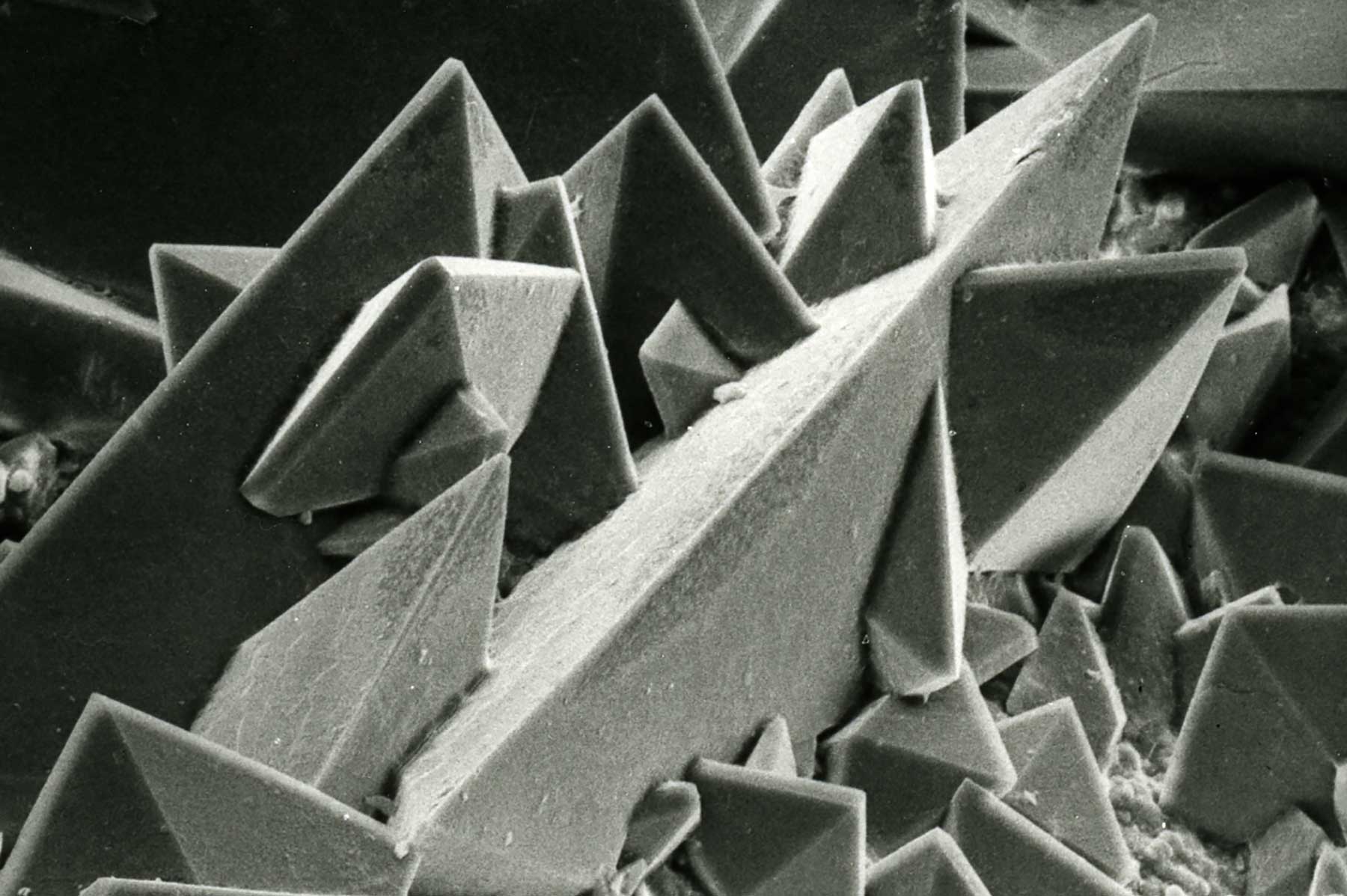 shop The Soviet Experiment:
