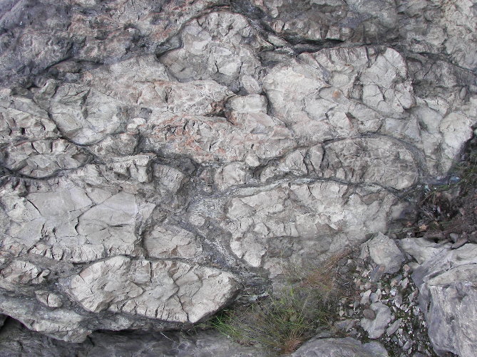 2.7 Ga pillow basalt