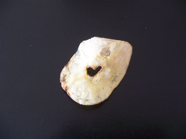 chip