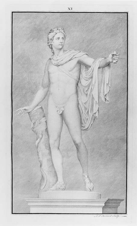 Apollo Belvedere