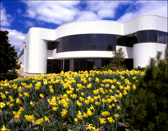 NSLS_Daffodils_hires.tif
