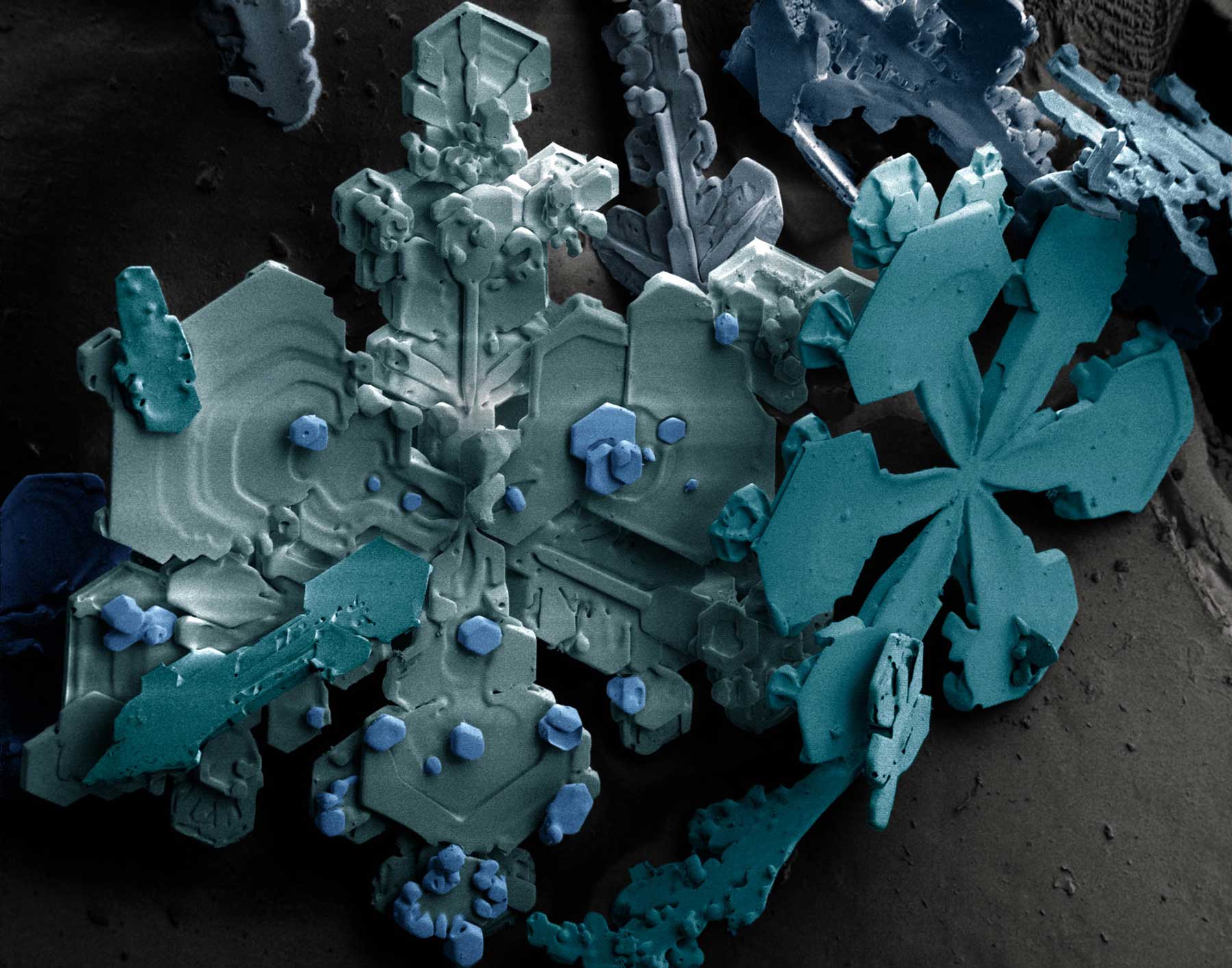 scanning electron microscopy x ray microanalysis lehigh scanning election microscope