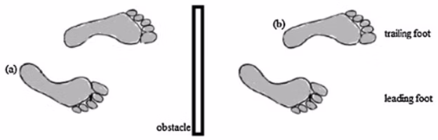 Publication Thumbnail