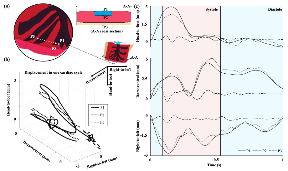 Publication Thumbnail