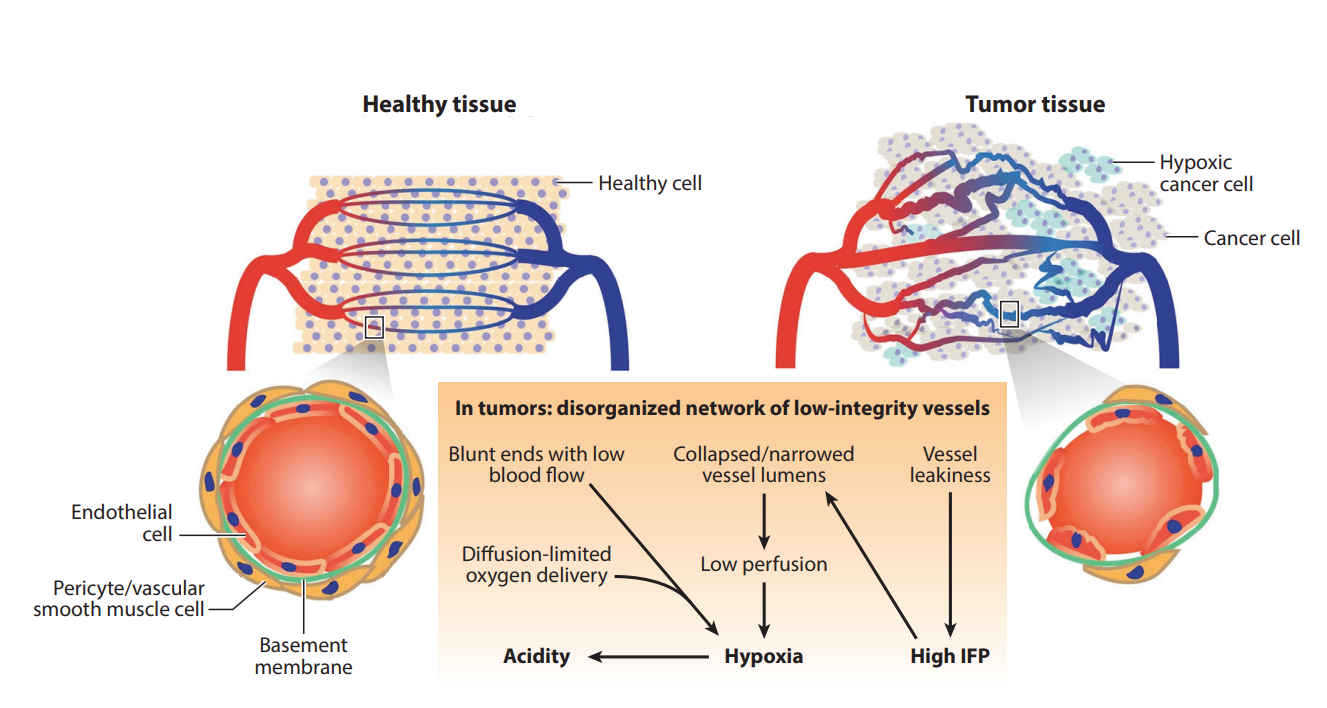 Publication Thumbnail