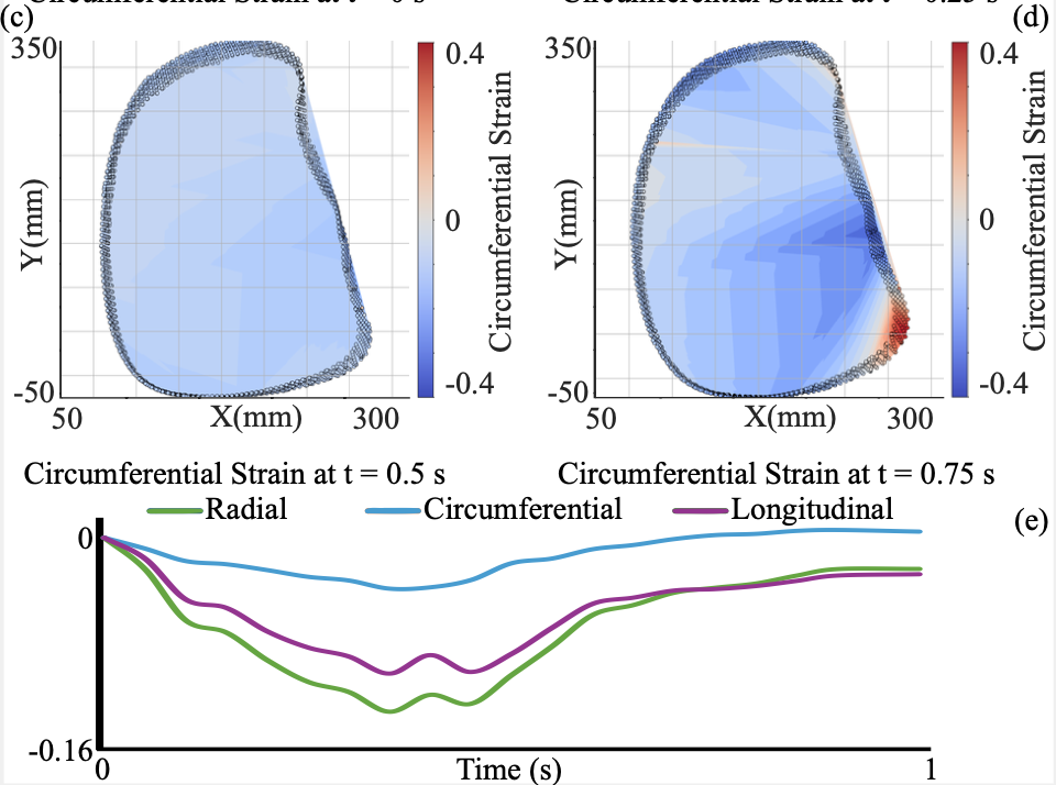 Publication Thumbnail
