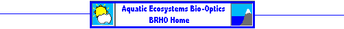 Bio-Optics Logo