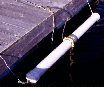 Temperature sensor boom