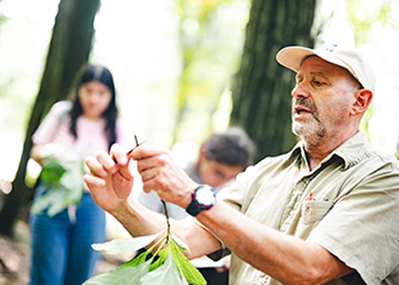 Professor Casagrande and his students collecting native plants in nearby woodsr
