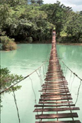 Foot bridge in lowland Chiapas