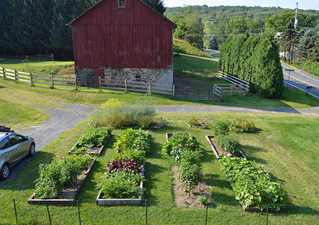 View of garden and original bank barn in New Tripoli, Pennsylvania 