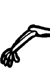 skeleton elbow joint