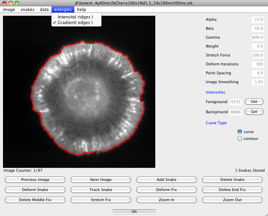 Snapshot of JFilament