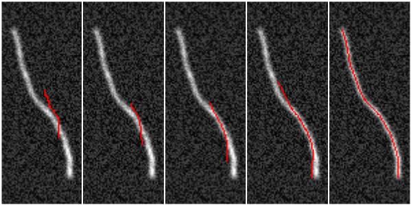 2d snake deforming to simulated image