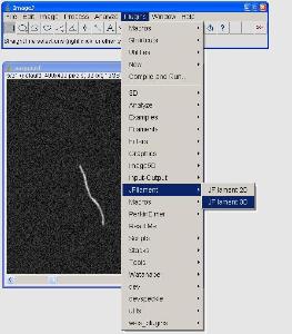 jfilament as imagej plugin