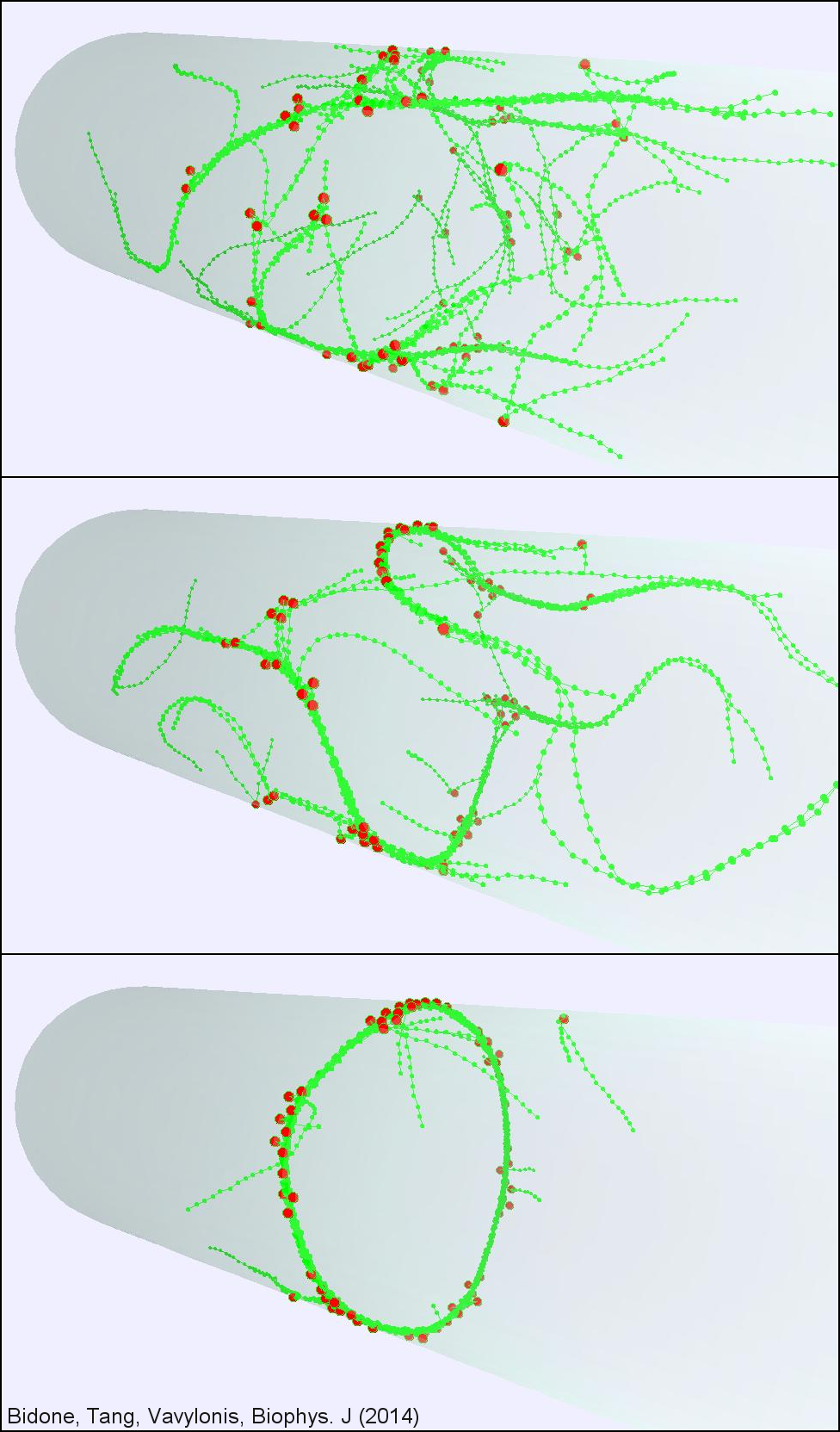 Model of Ring Assembly