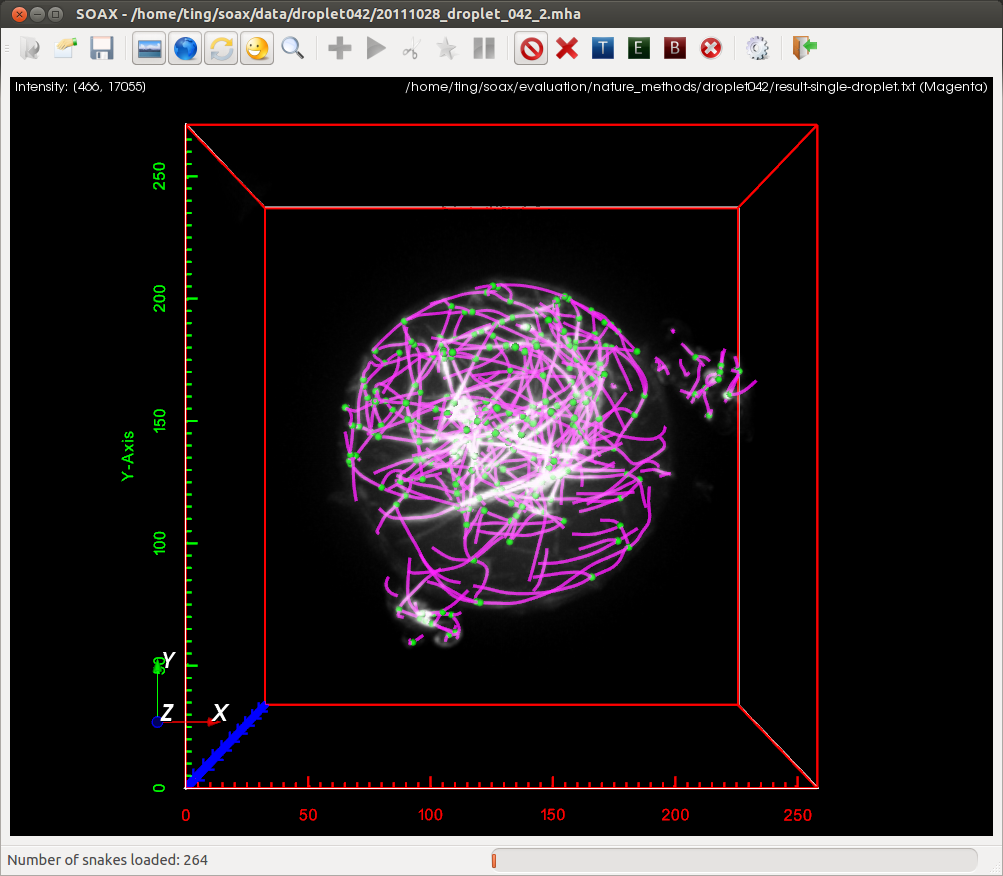 Actin droplet example