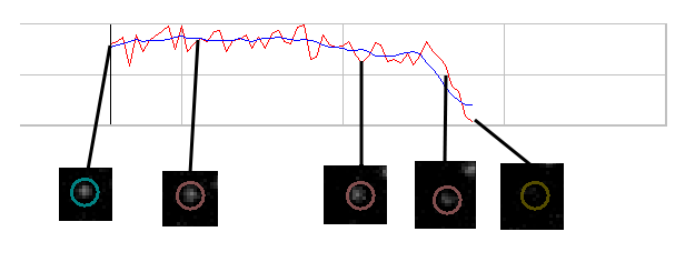 auto tracked profile of a speckle