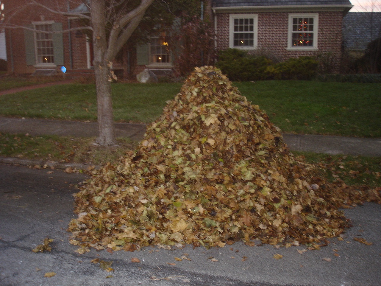 leaf piles how to put away christmas lights