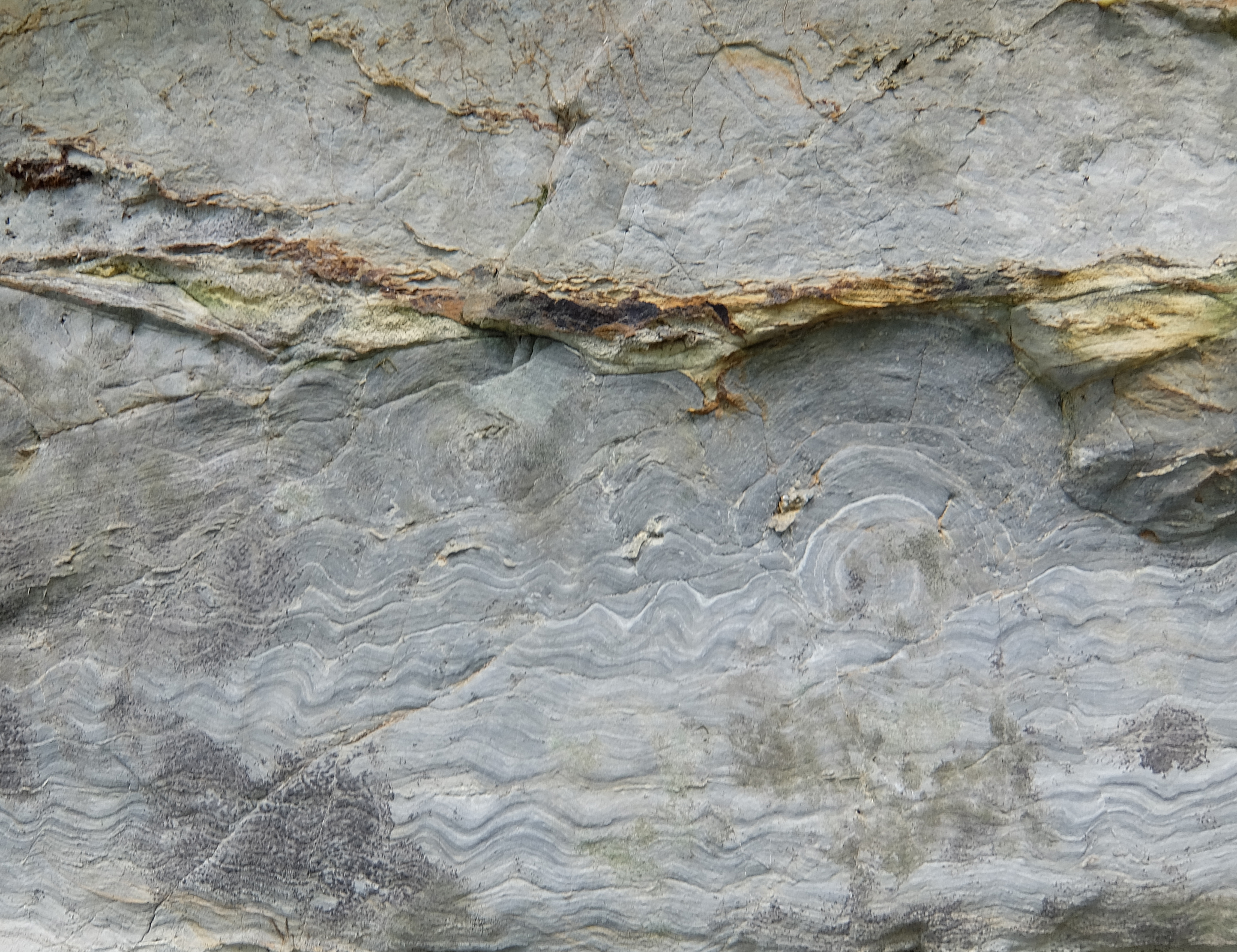 round head stromatolite