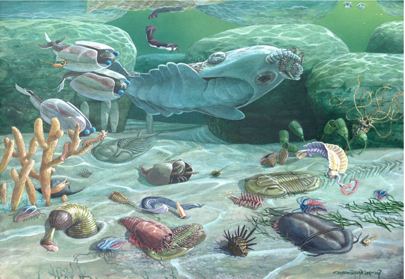 Sea