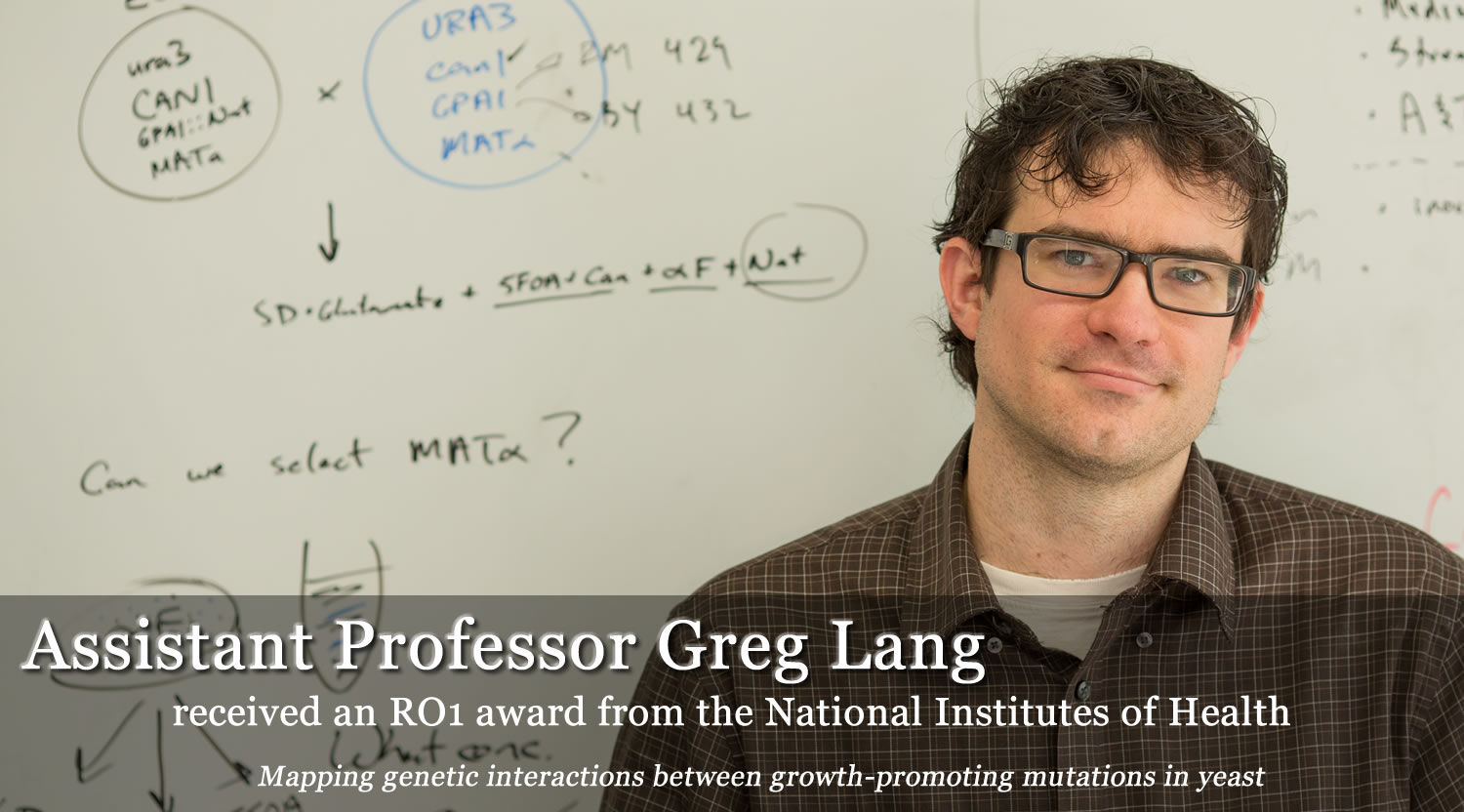 Greg Lang awarded an RO1 from NIH