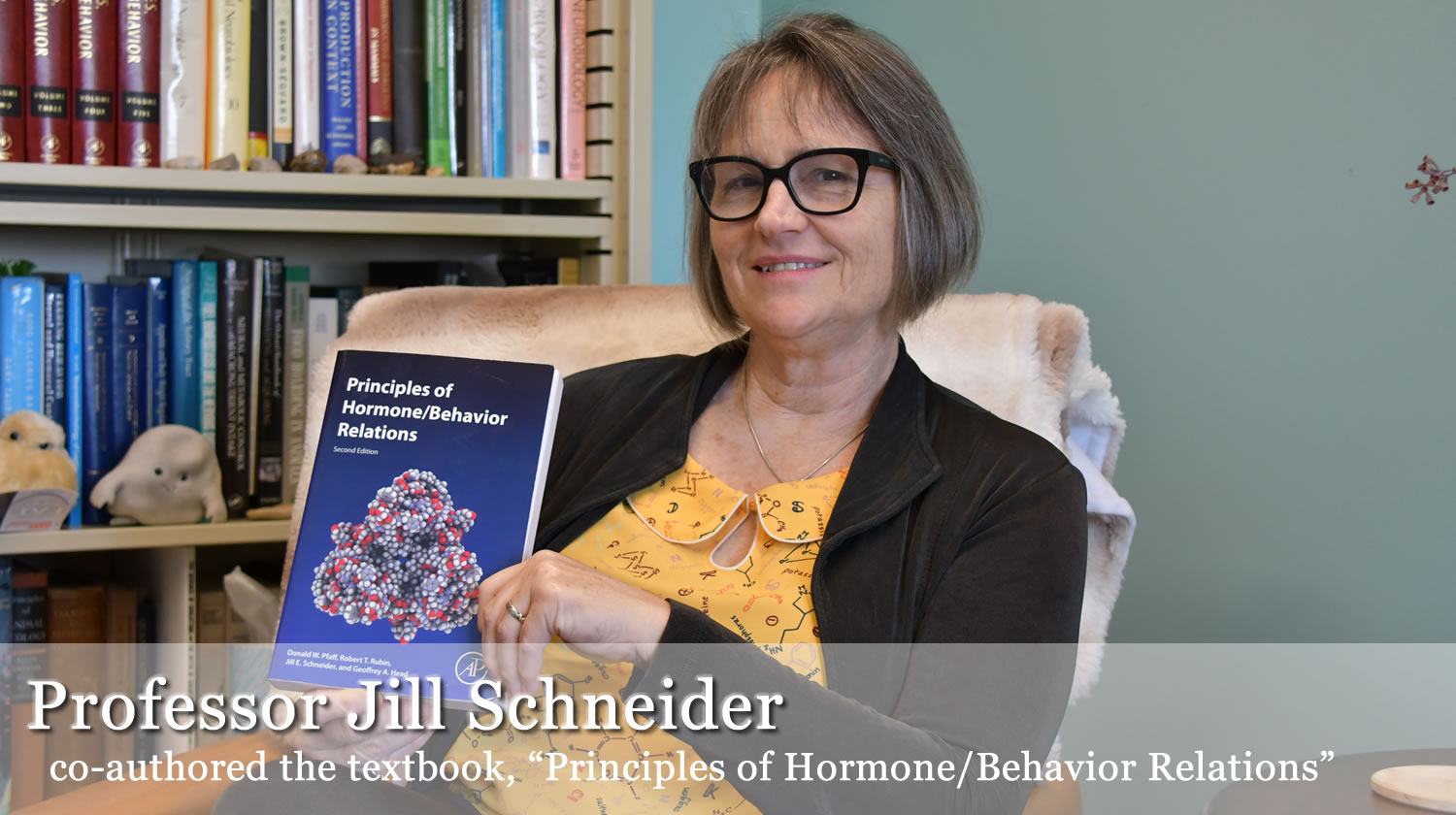 Professor Jill Schneider co-authored textbook