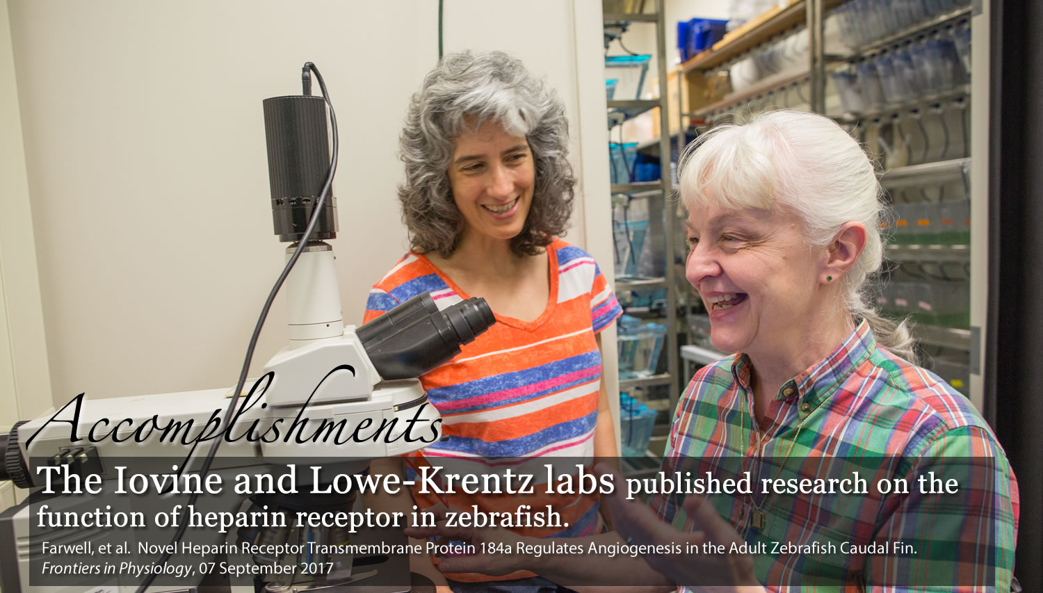 M. Kathryn Iovine, Ph.D. and Linda Lowe-Krentz, Ph.D.