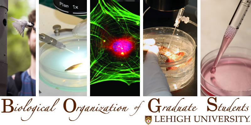 Biological Organization of Graduate Students, Lehigh University