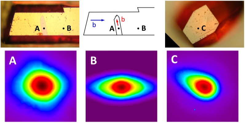 [Image: excitons]