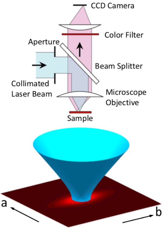 [Image: triplet diffusion]