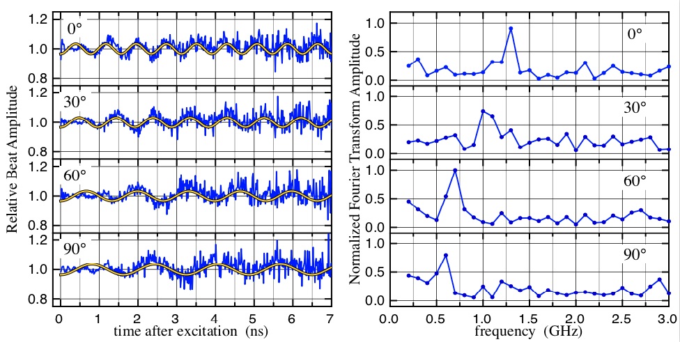 [Image: rubrene quantum beats vs magnetic field]