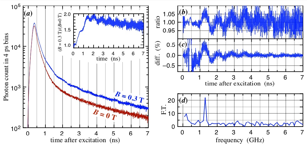 [Image: rubrene quantum beats]