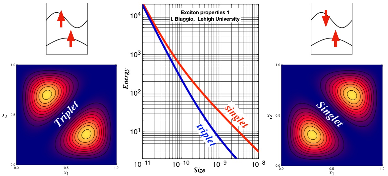 [Image: excitons]