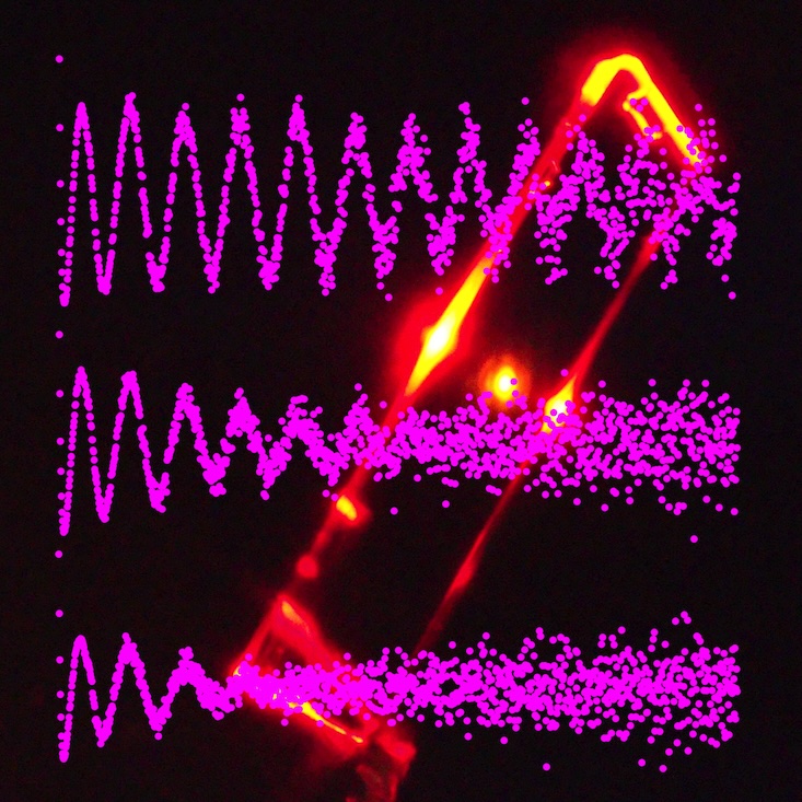 [Image: rubrene quantum beats]