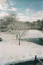 Christmas Day Snowfall