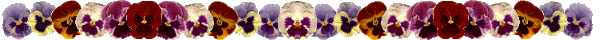 pansies