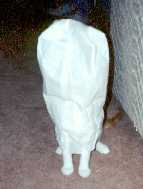 Bag Head