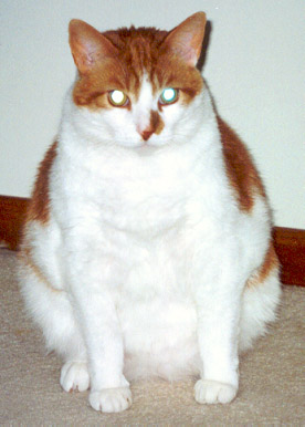 Possessed