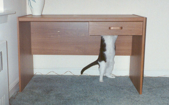 Putting the desk together