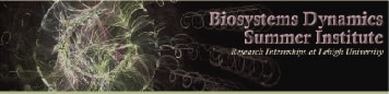 Biosystems Dynamics Summer Institute