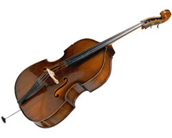 Musical Instrument Experience The Orchestra doublebass