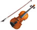 violin___